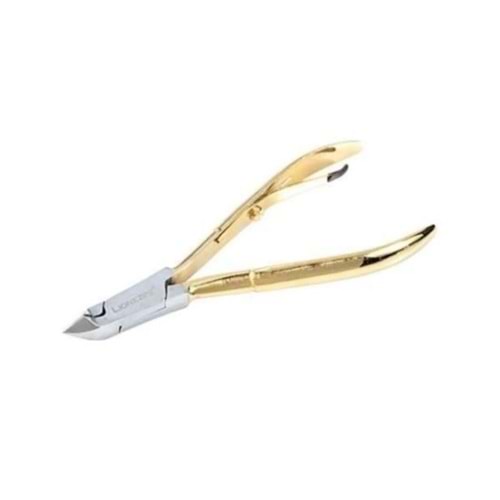 Lionesse Et Pensi 171 G