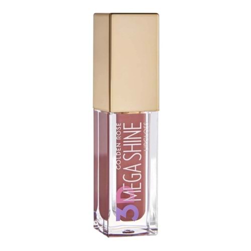 Golden Rose 3d Mega Shıne Lipgloss No: 107